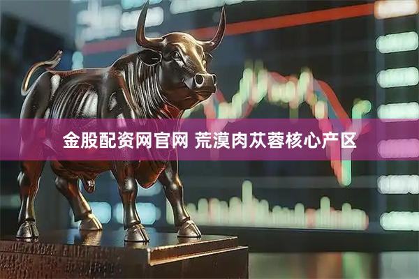 金股配资网官网 荒漠肉苁蓉核心产区