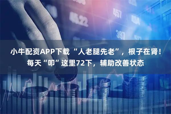 小牛配资APP下载 “人老腿先老”，根子在肾！每天“叩”这里72下，辅助改善状态
