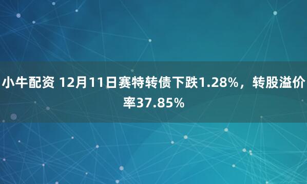 小牛配资 12月11日赛特转债下跌1.28%，转股溢价率37.85%